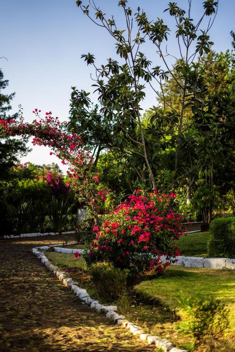 Best Western Plus Posada De Don Vasco Pátzcuaro Dış mekan fotoğraf Bougainvillea